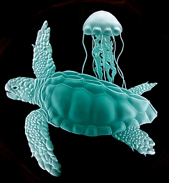 Loggerhead Turtle Sand Carved Glass by Lex Melfi